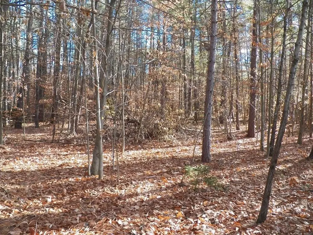 520 Green Mountain Road Effingham NH 03882