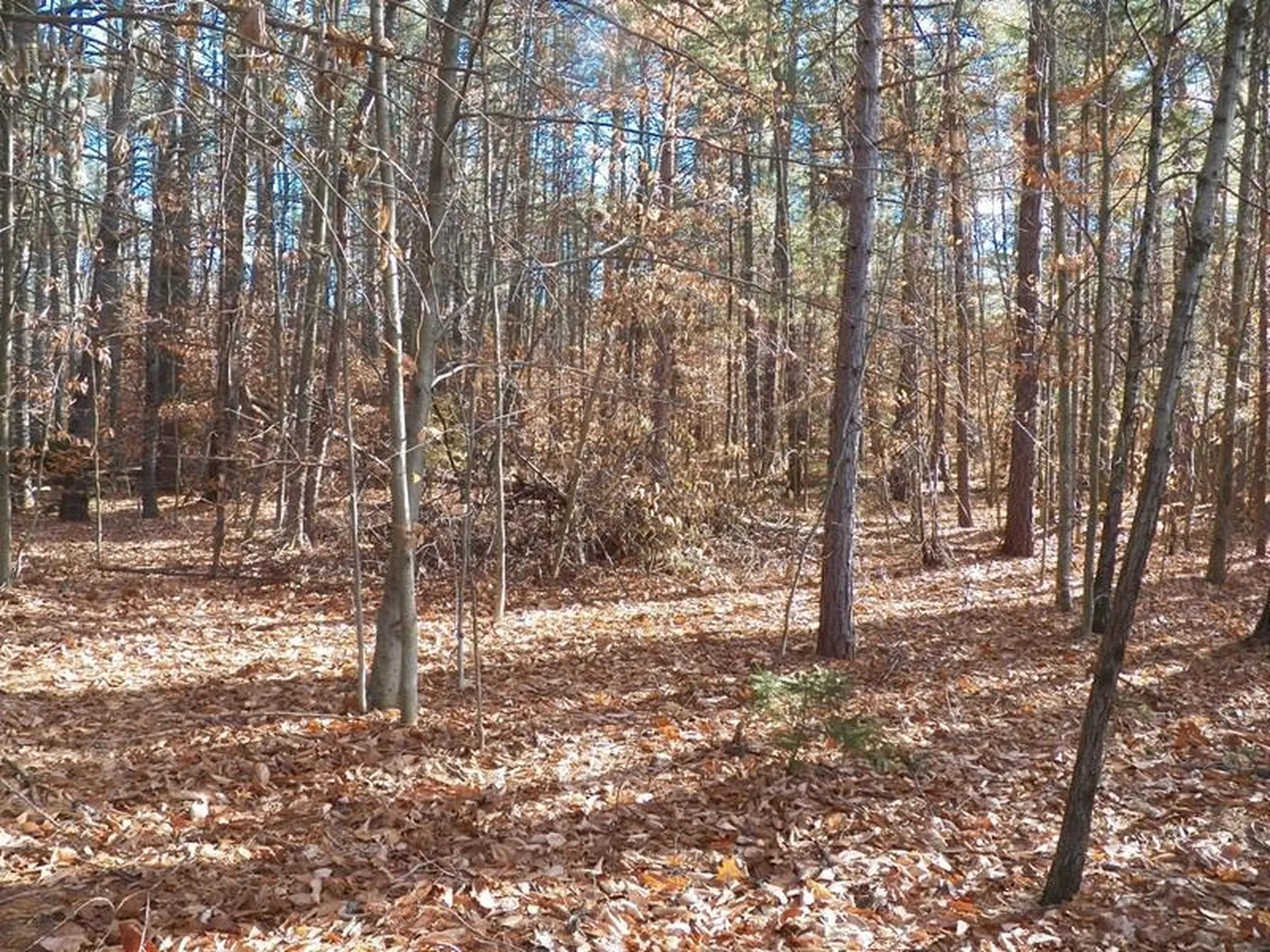 520 Green Mountain Road Effingham NH 03882