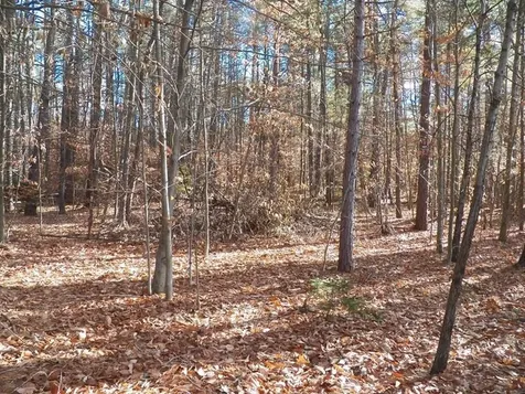 520 Green Mountain Road Effingham NH 03882