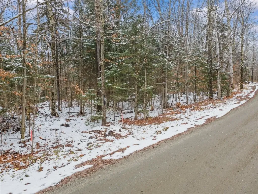 93 White Birch Road Morristown VT 05661