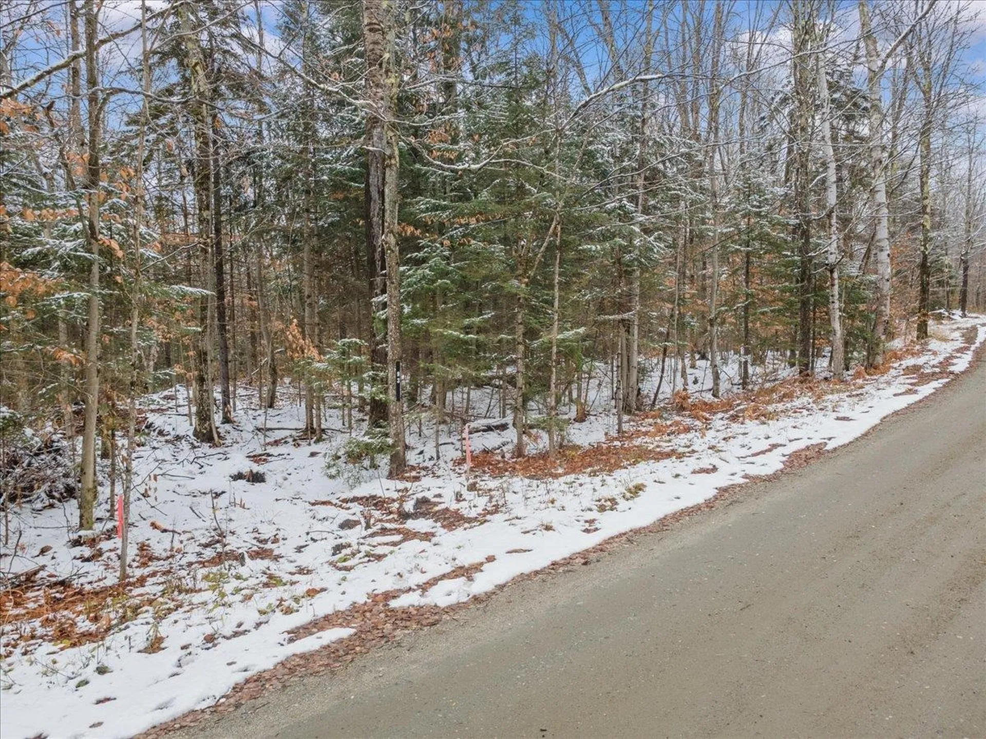 93 White Birch Road Morristown VT 05661