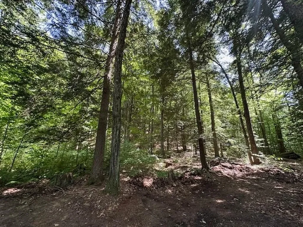 0 Duke Road Newfane VT 05345