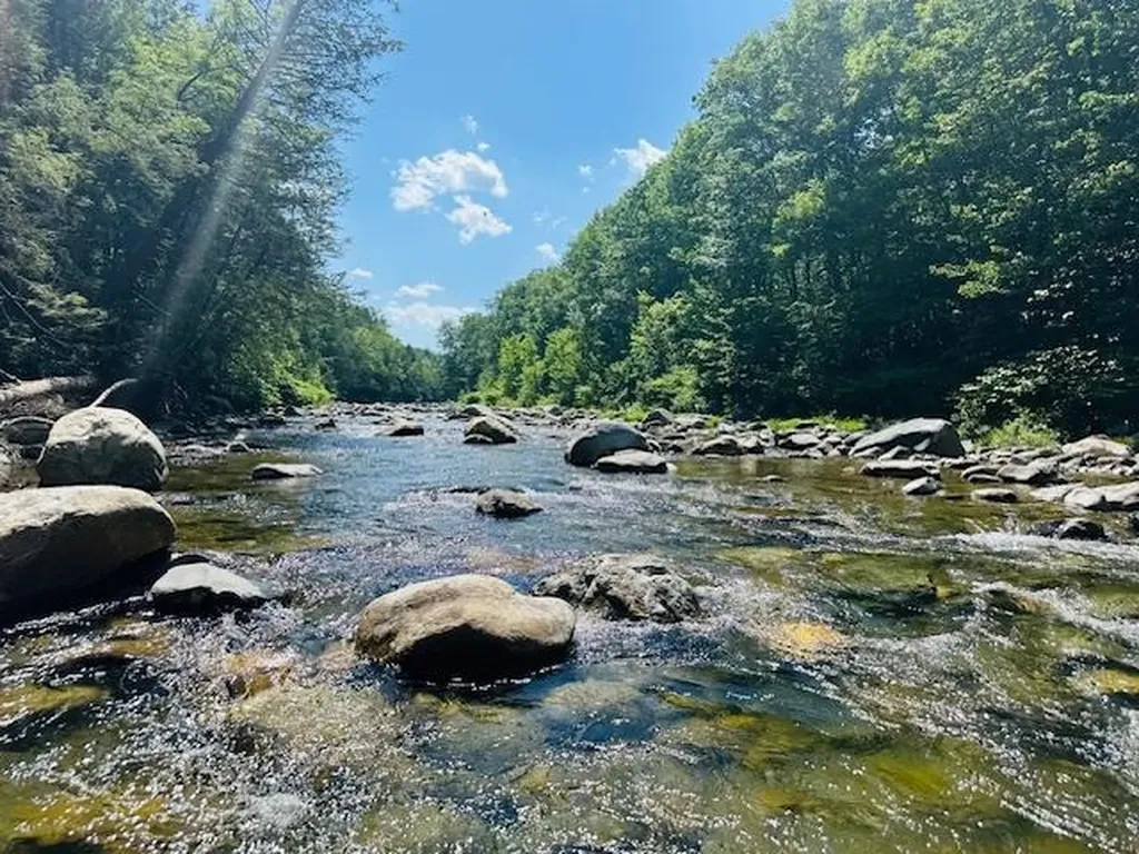 0 Duke Road Newfane VT 05345