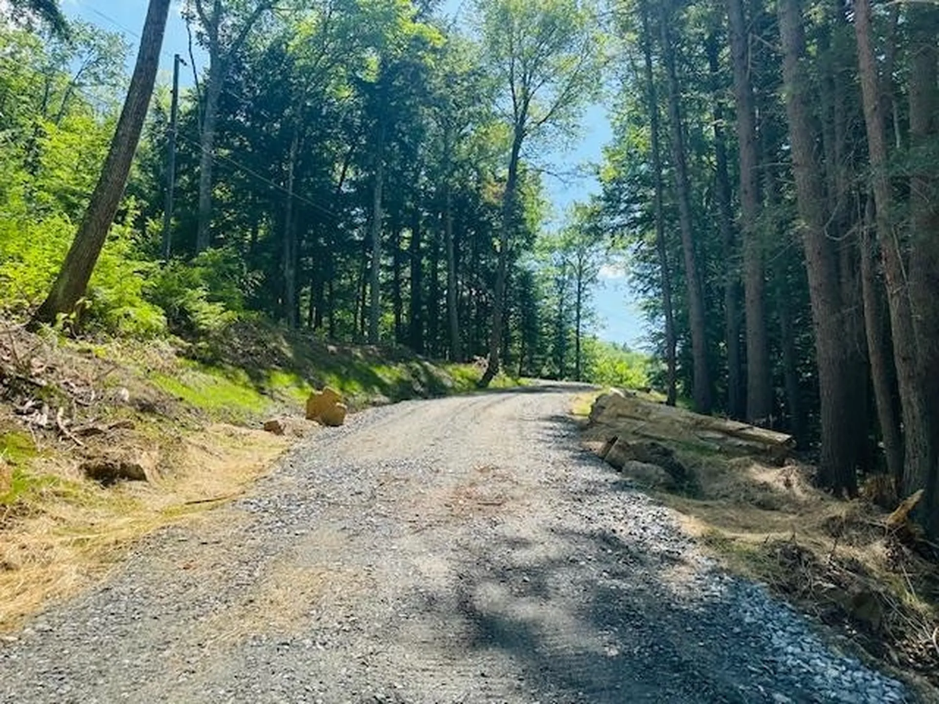 0 Duke Road Newfane VT 05345