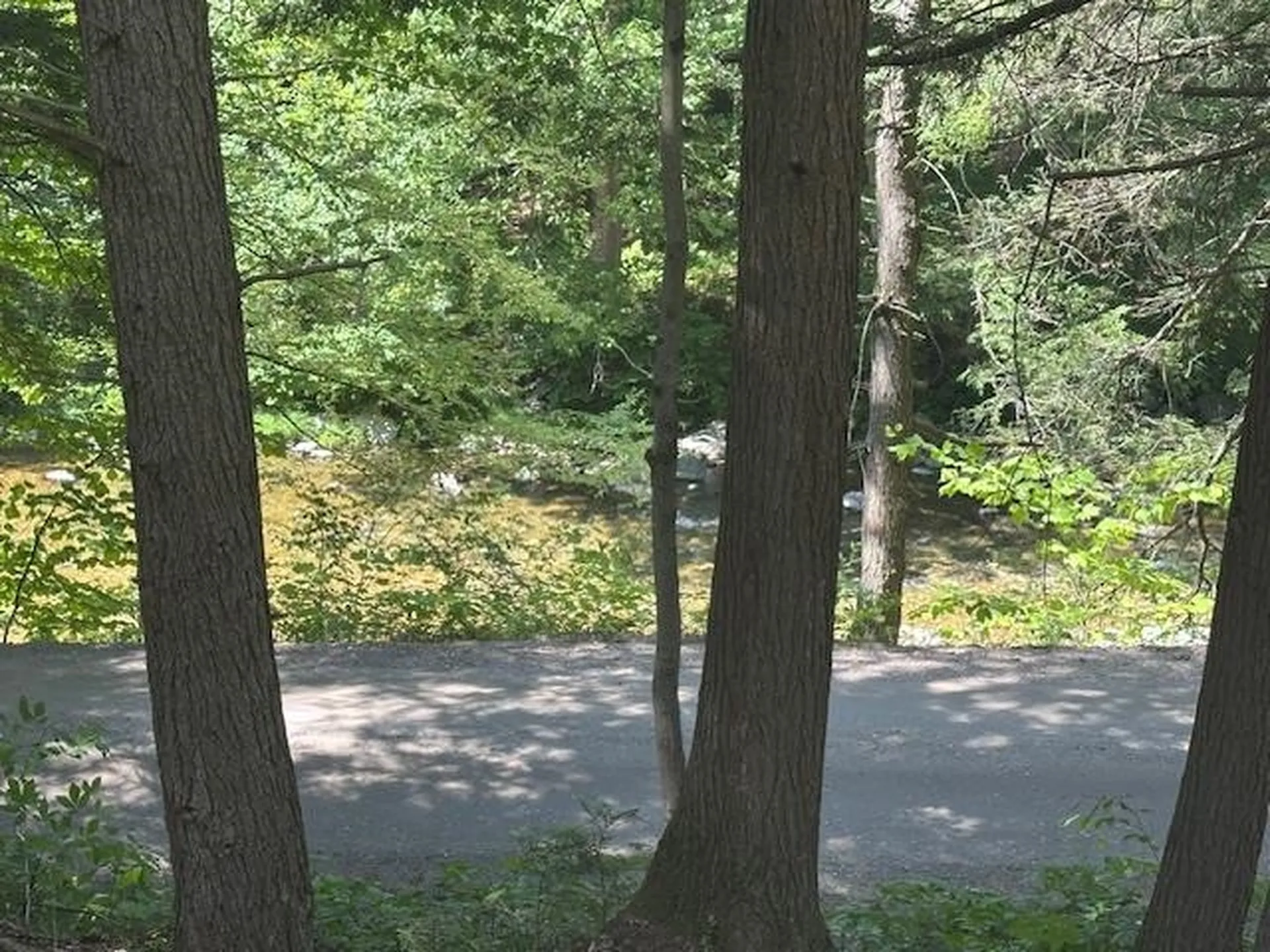 0 Duke Road Newfane VT 05345