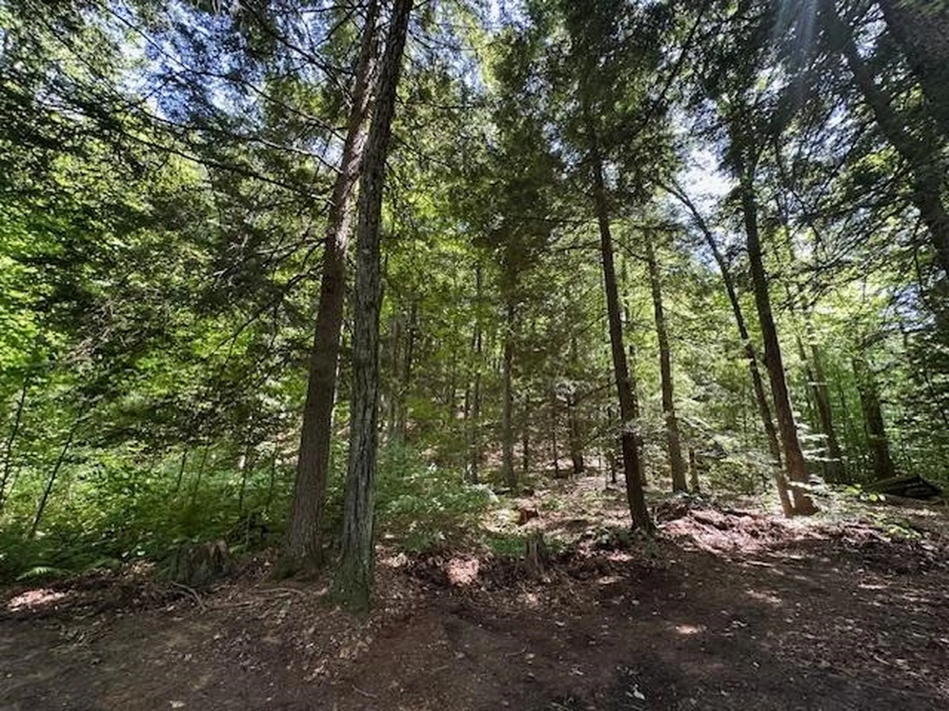 0 Duke Road Newfane VT 05345
