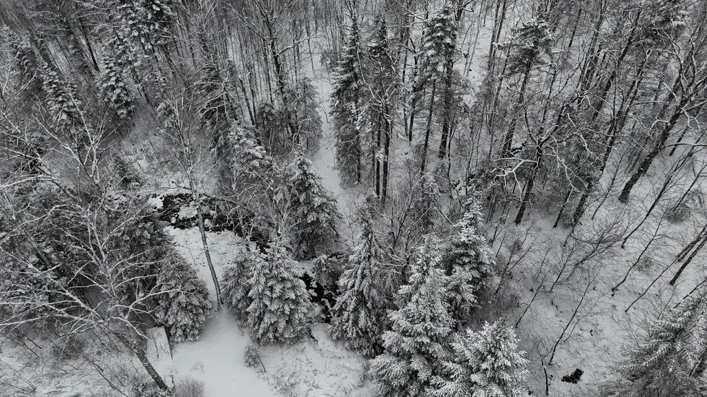 1433 Stannard Mountain Road Wheelock VT 05851