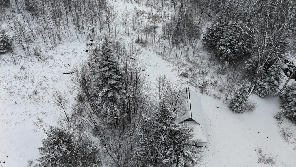 1433 Stannard Mountain Road Wheelock VT 05851