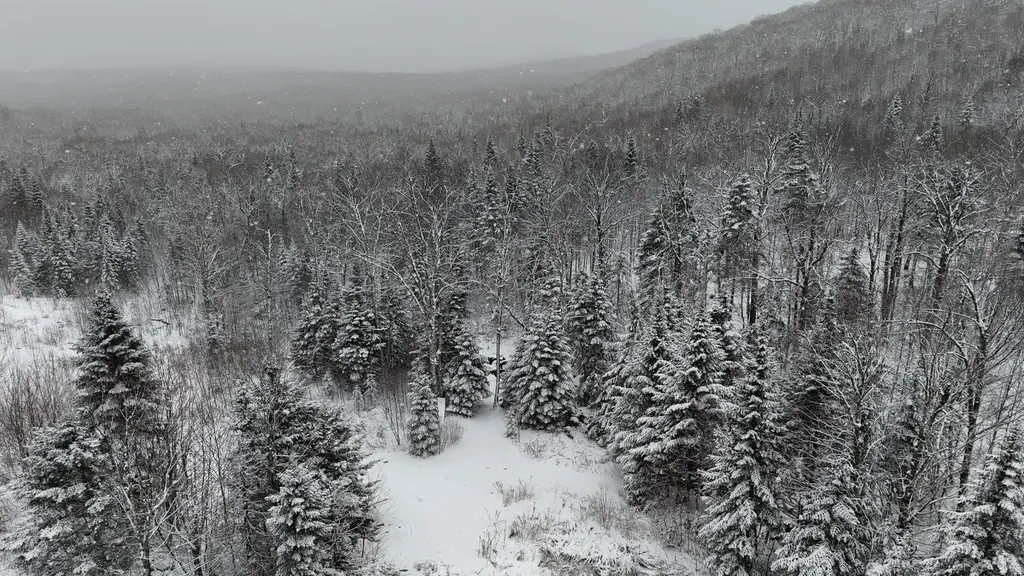 1433 Stannard Mountain Road Wheelock VT 05851