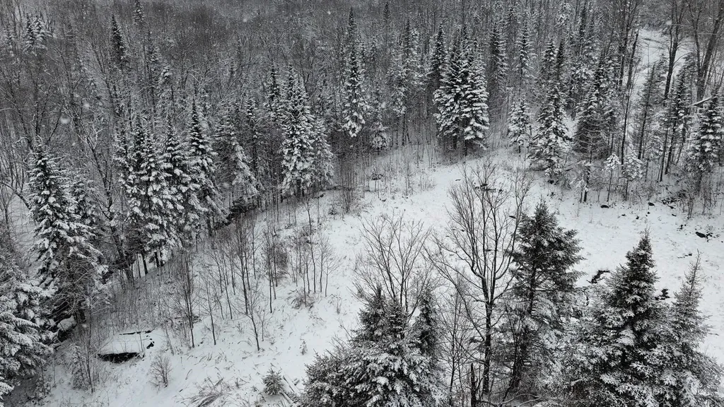 1433 Stannard Mountain Road Wheelock VT 05851