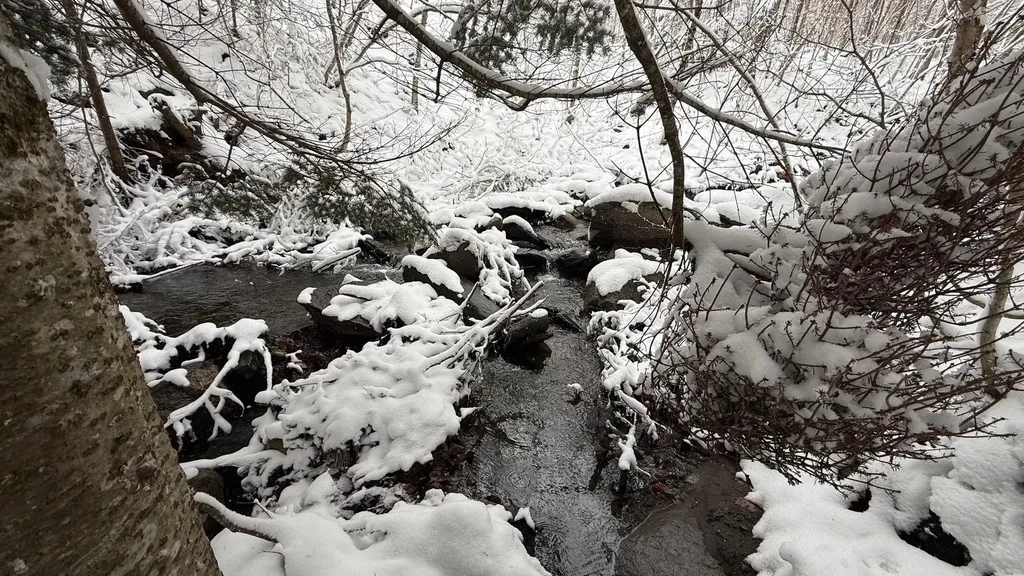 1433 Stannard Mountain Road Wheelock VT 05851