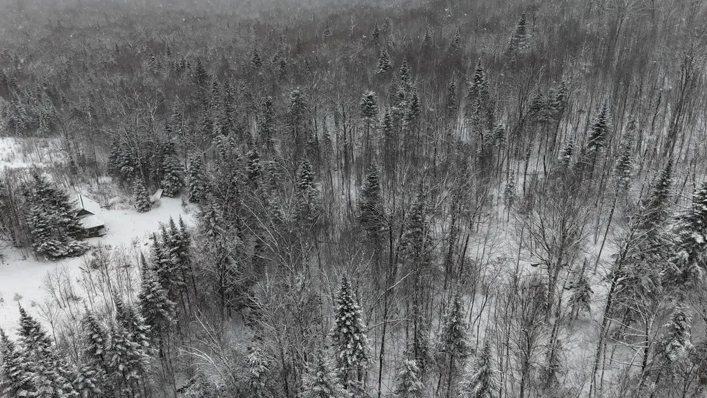 1433 Stannard Mountain Road Wheelock VT 05851