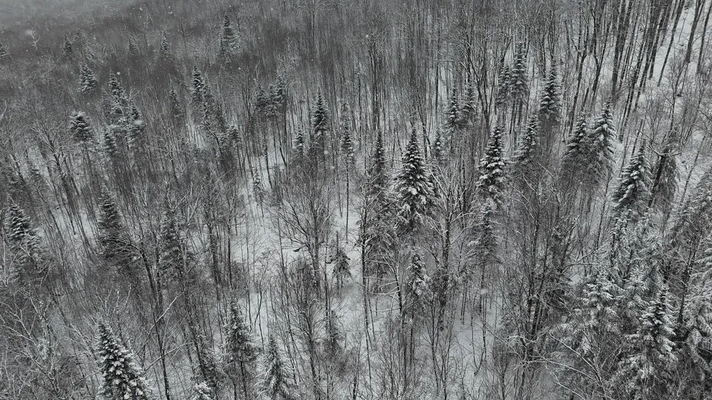 1433 Stannard Mountain Road Wheelock VT 05851