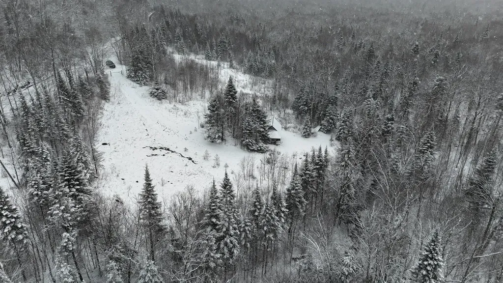 1433 Stannard Mountain Road Wheelock VT 05851