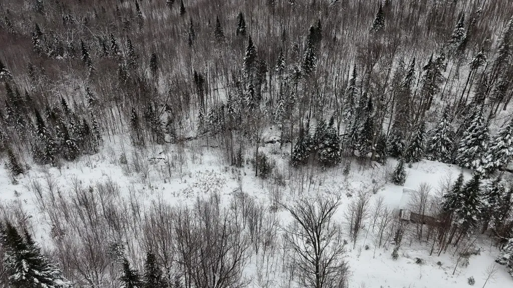 1433 Stannard Mountain Road Wheelock VT 05851