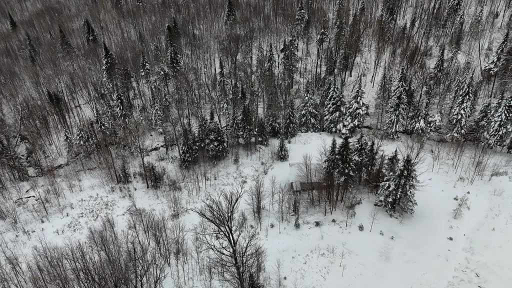 1433 Stannard Mountain Road Wheelock VT 05851