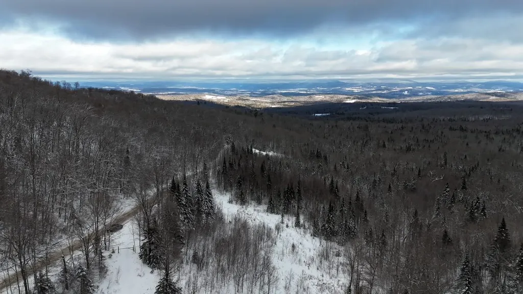 1433 Stannard Mountain Road Wheelock VT 05851