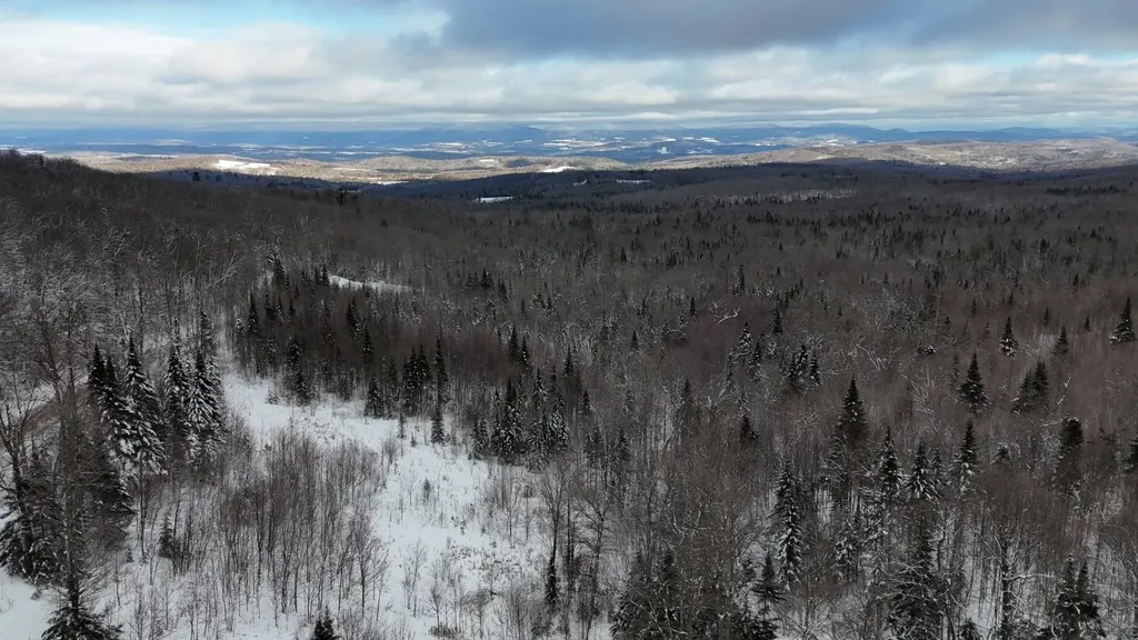 1433 Stannard Mountain Road Wheelock VT 05851