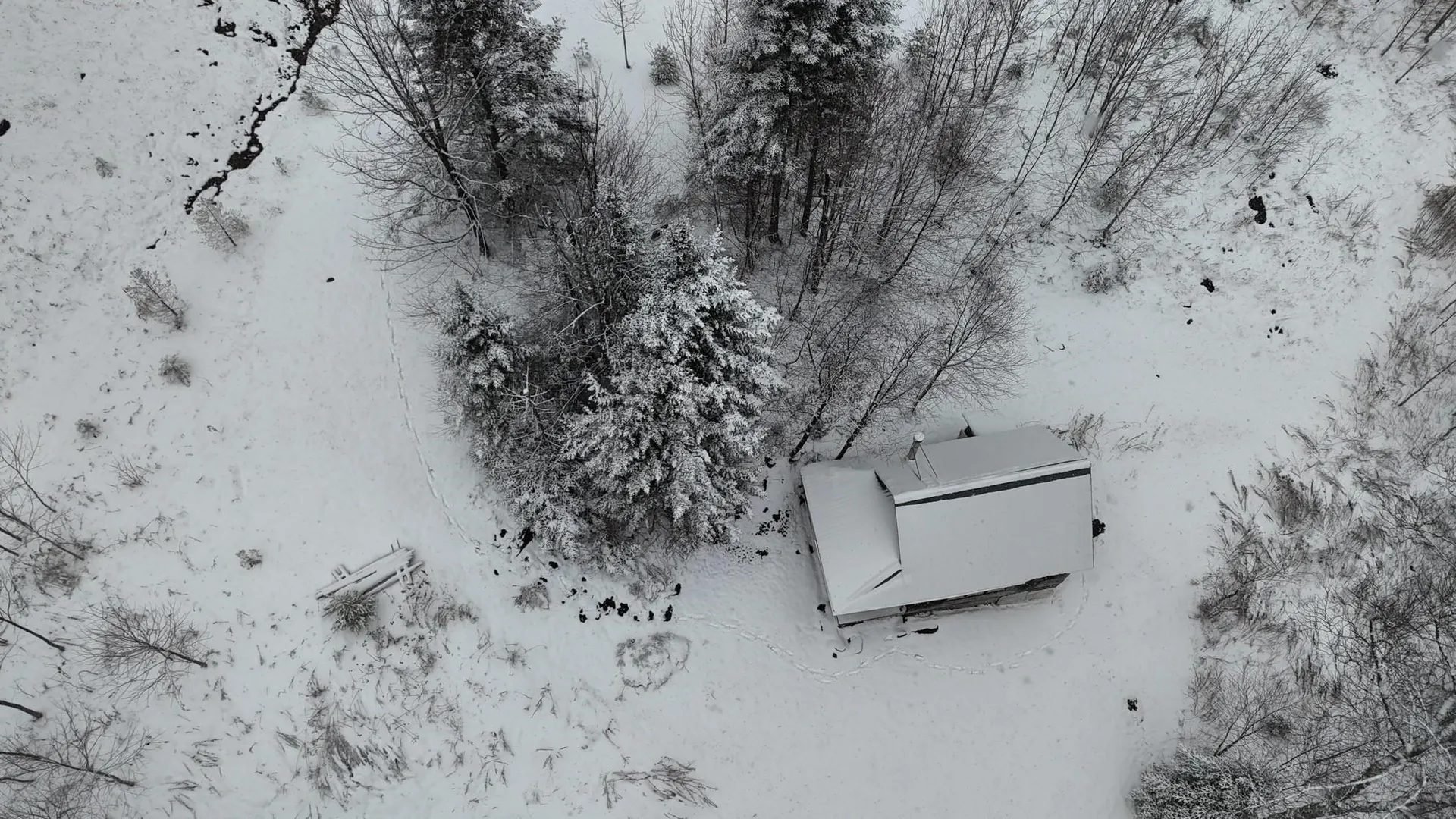 1433 Stannard Mountain Road Wheelock VT 05851