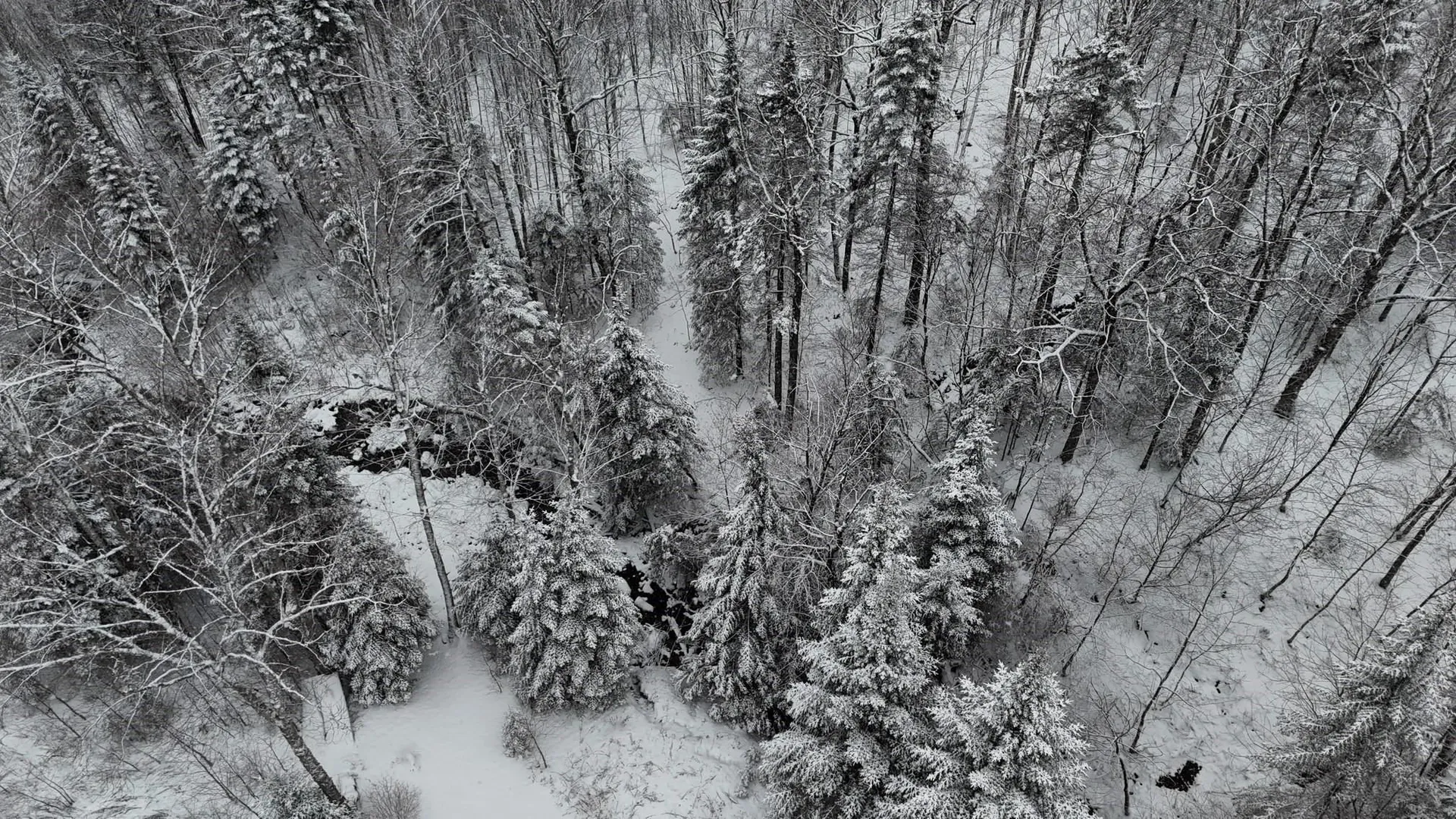 1433 Stannard Mountain Road Wheelock VT 05851