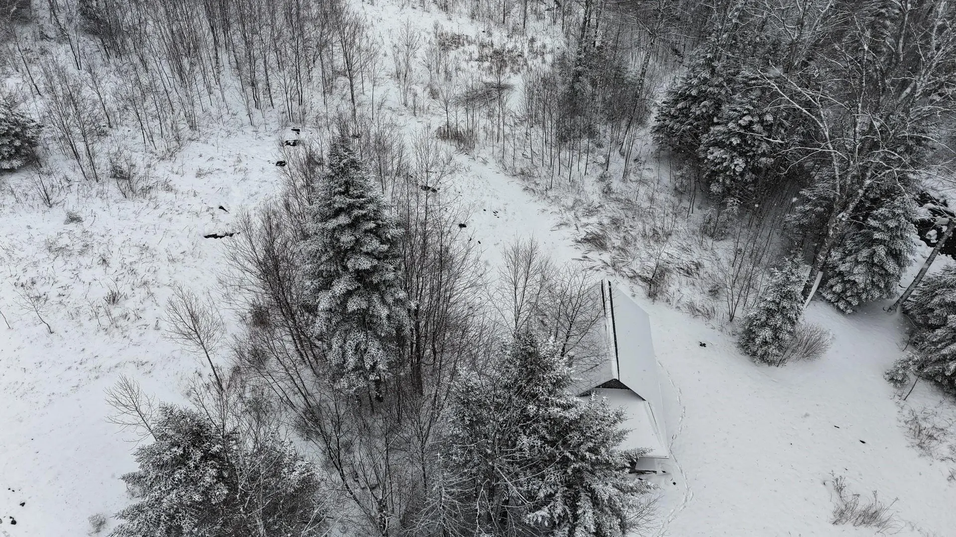 1433 Stannard Mountain Road Wheelock VT 05851