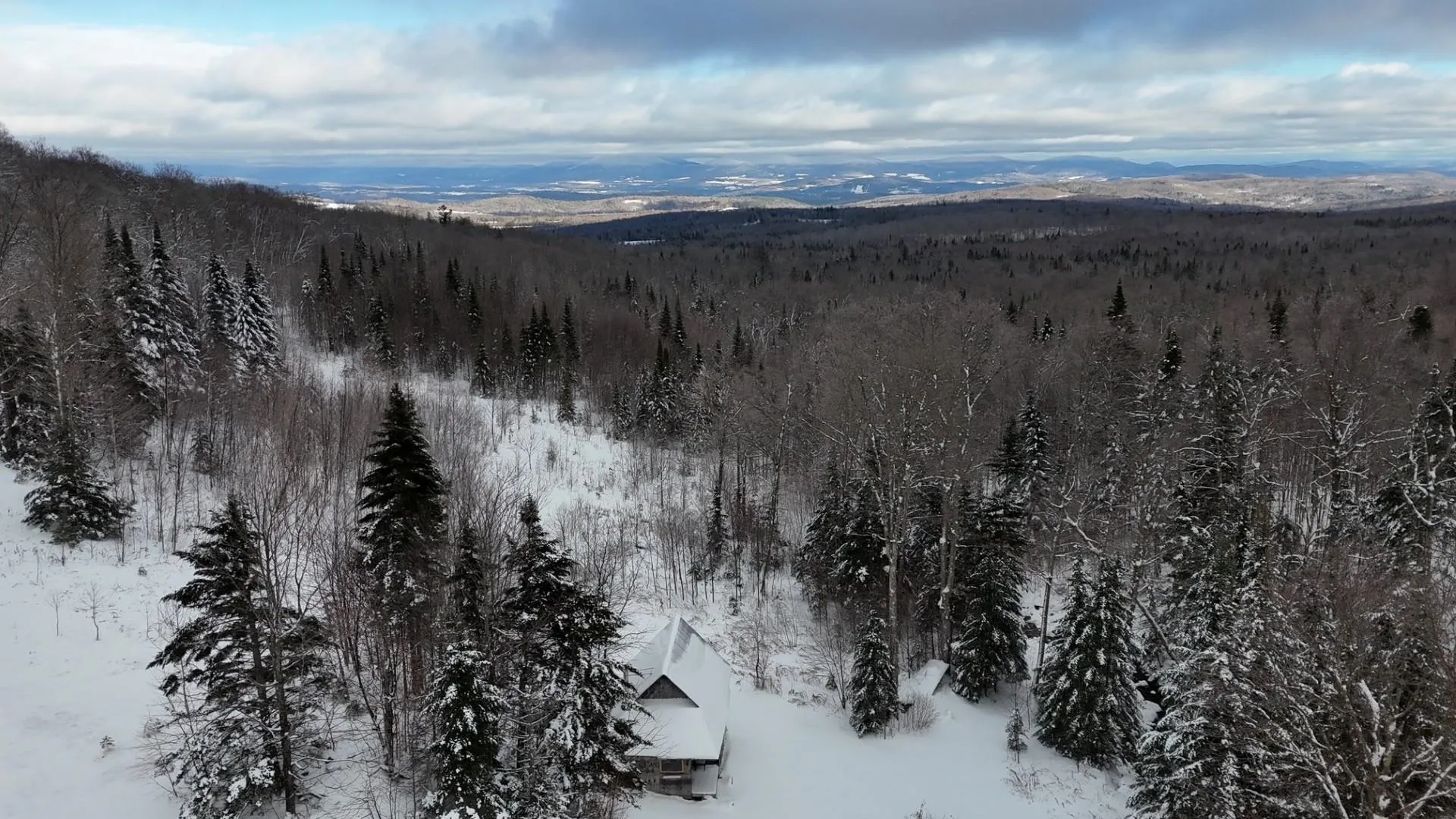 1433 Stannard Mountain Road Wheelock VT 05851