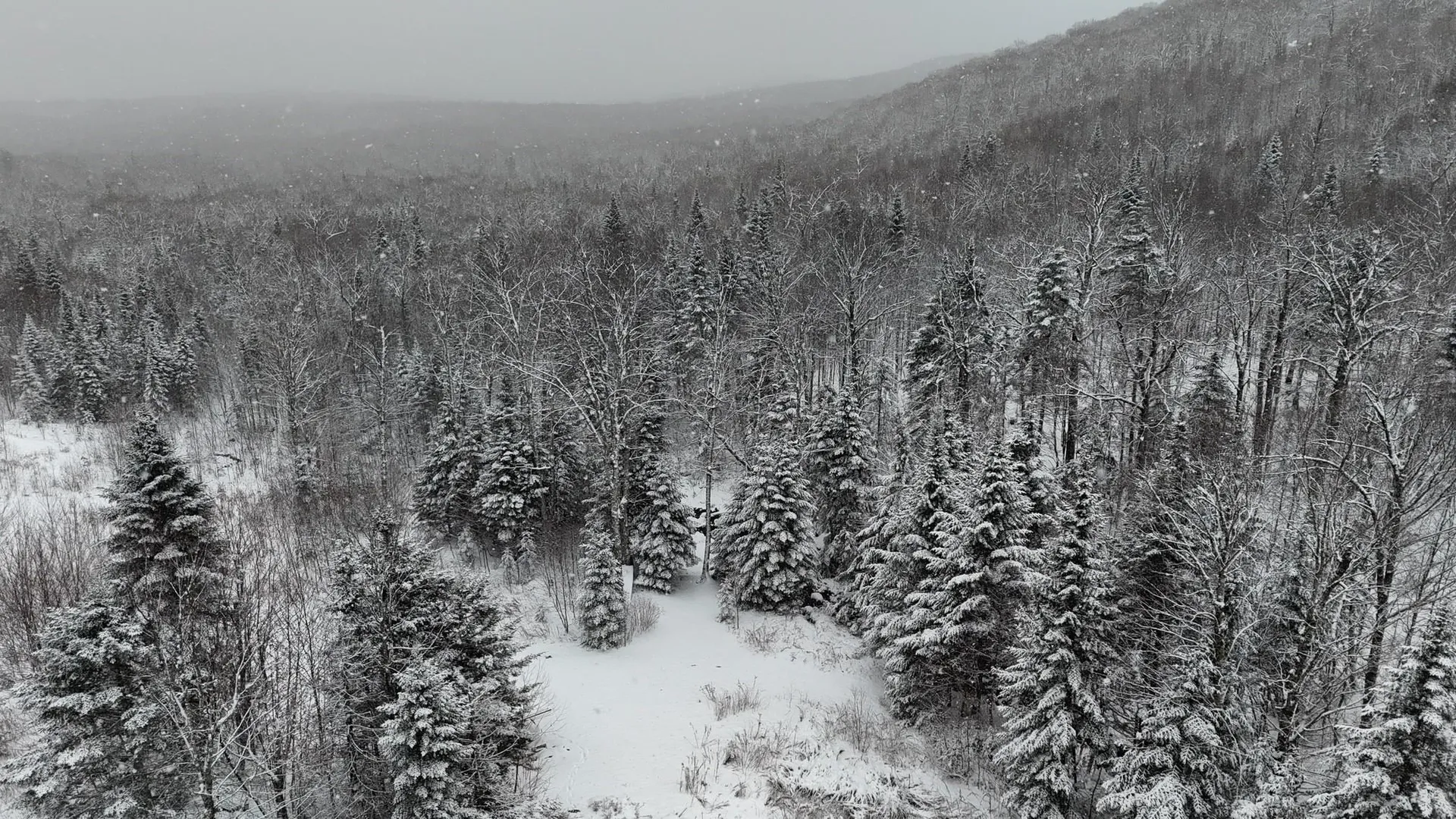 1433 Stannard Mountain Road Wheelock VT 05851