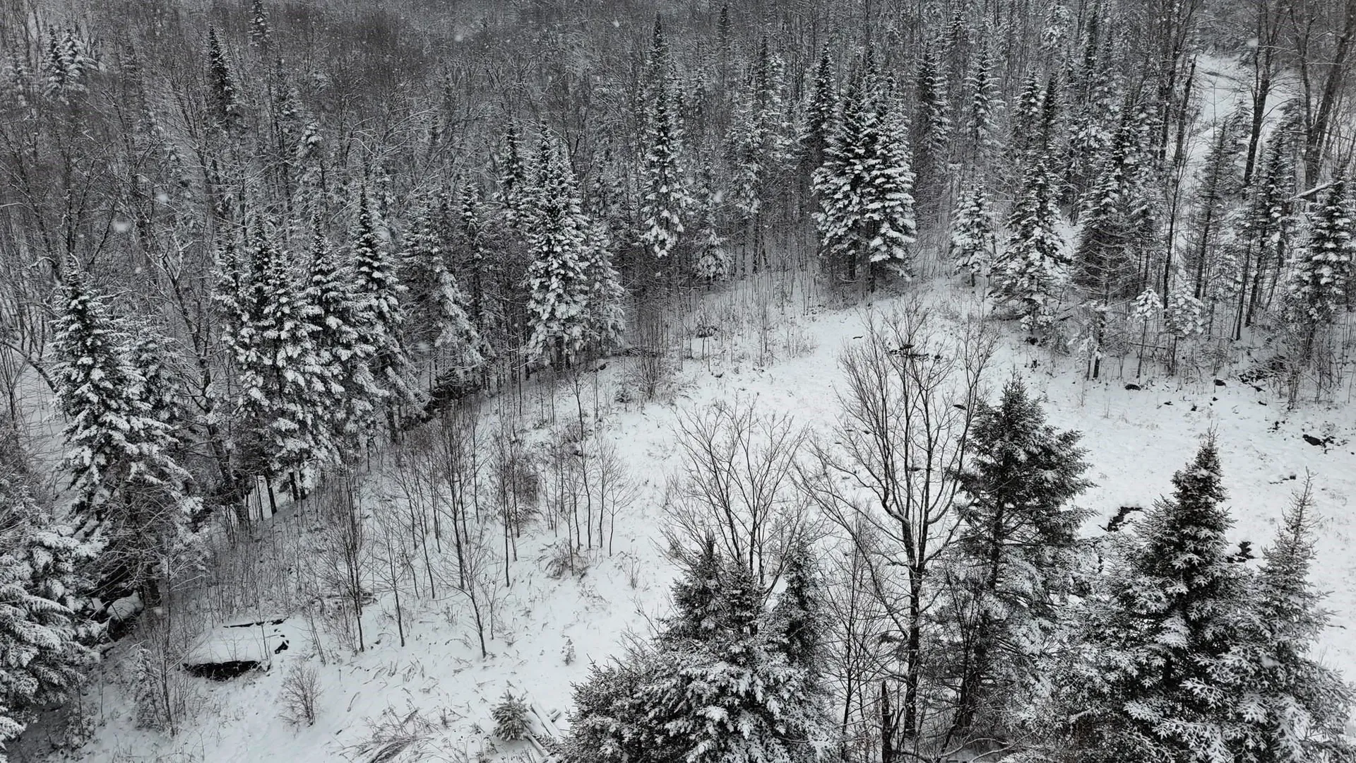 1433 Stannard Mountain Road Wheelock VT 05851