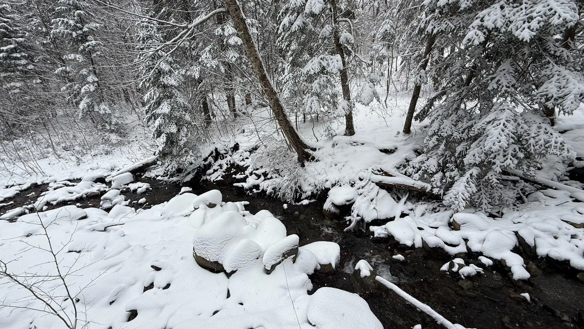 1433 Stannard Mountain Road Wheelock VT 05851