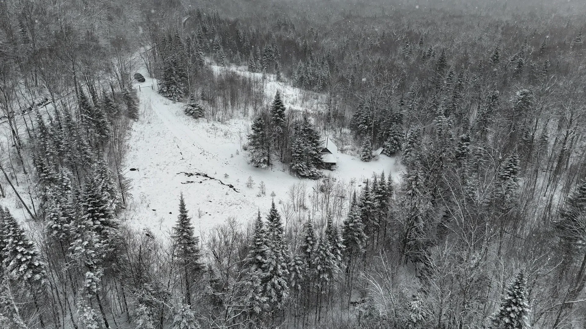 1433 Stannard Mountain Road Wheelock VT 05851