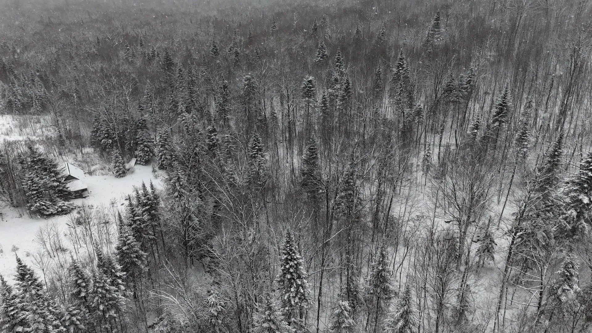 1433 Stannard Mountain Road Wheelock VT 05851