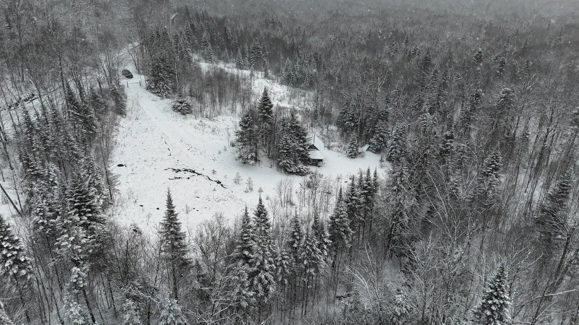 1433 Stannard Mountain Road Wheelock VT 05851