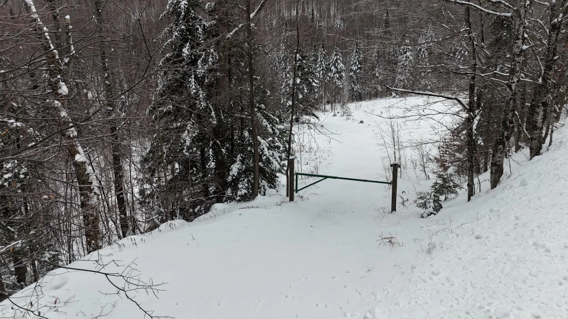 1433 Stannard Mountain Road Wheelock VT 05851