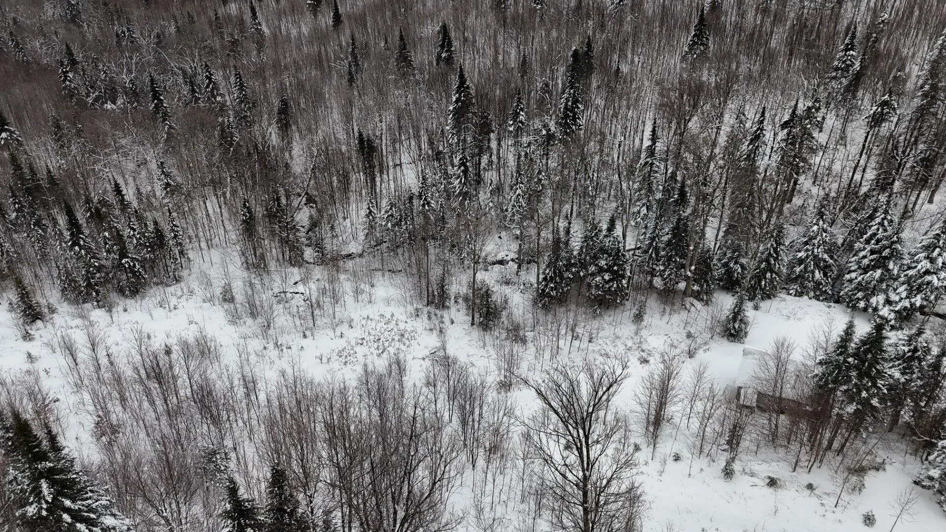 1433 Stannard Mountain Road Wheelock VT 05851