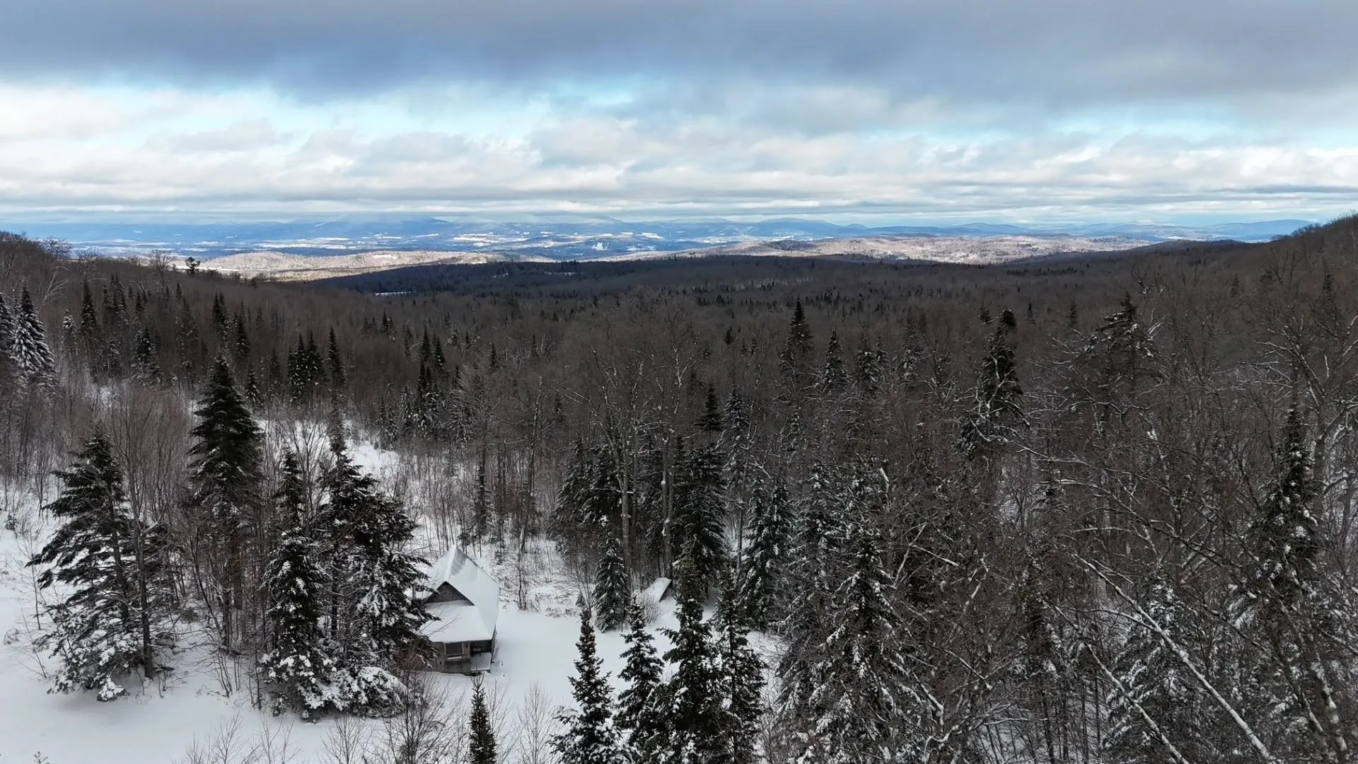 1433 Stannard Mountain Road Wheelock VT 05851