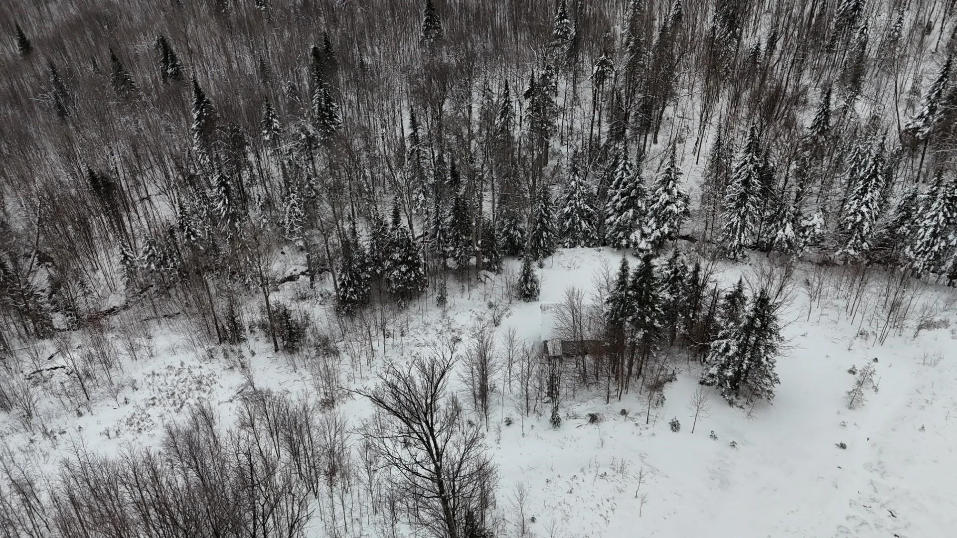 1433 Stannard Mountain Road Wheelock VT 05851