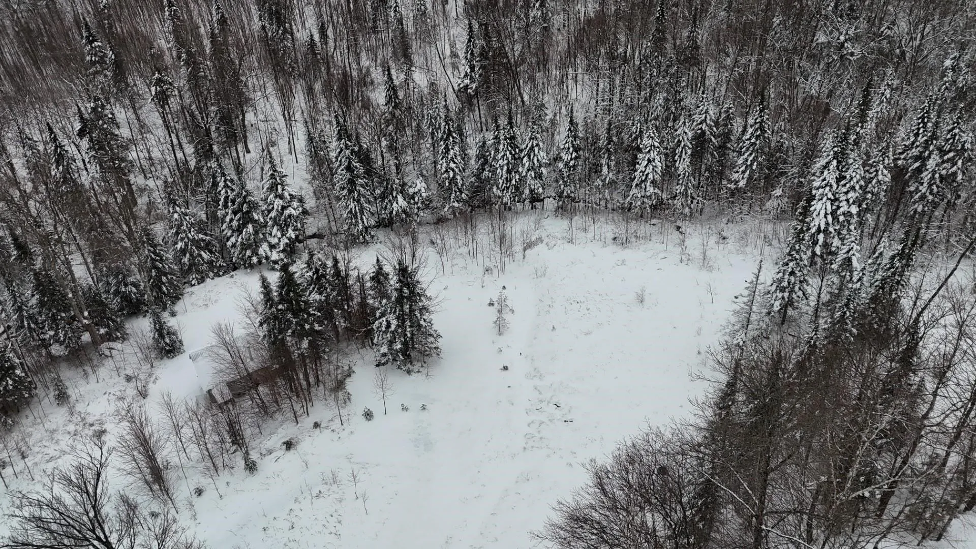 1433 Stannard Mountain Road Wheelock VT 05851