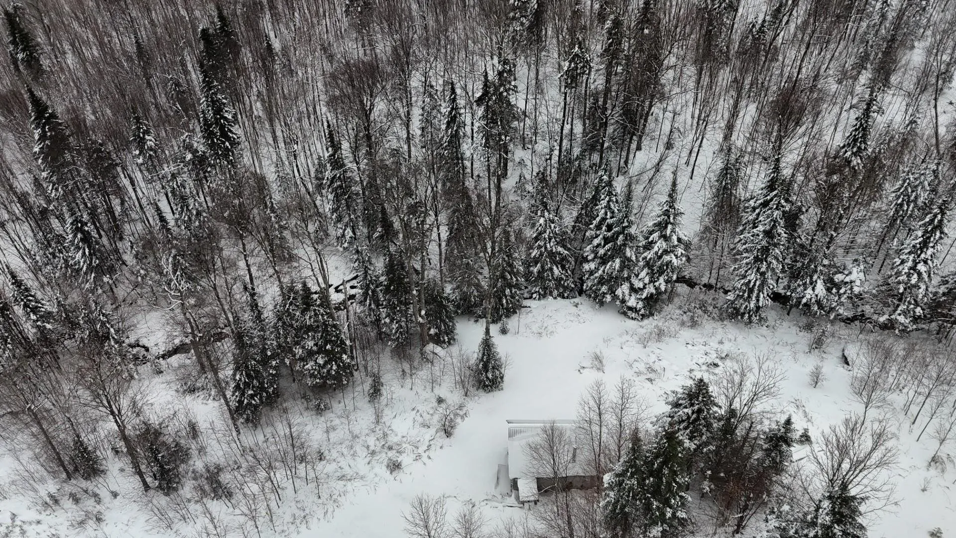 1433 Stannard Mountain Road Wheelock VT 05851