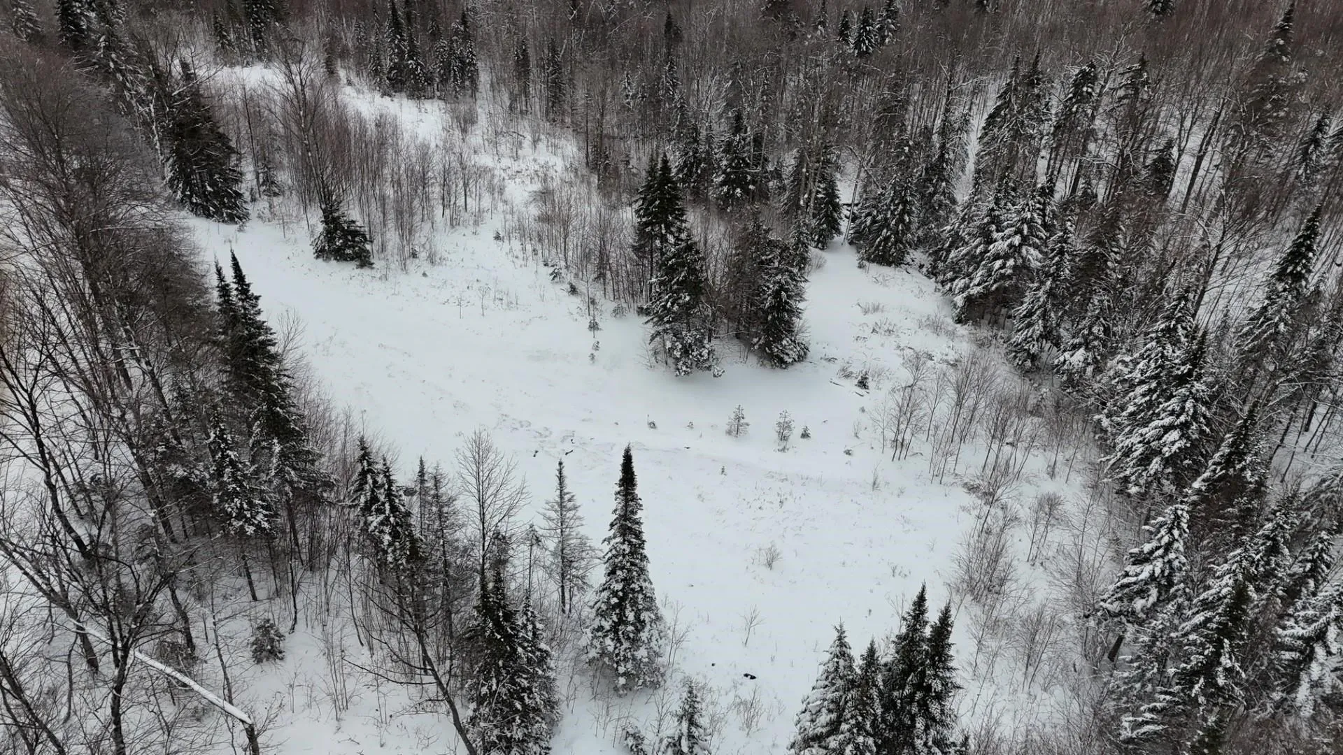 1433 Stannard Mountain Road Wheelock VT 05851