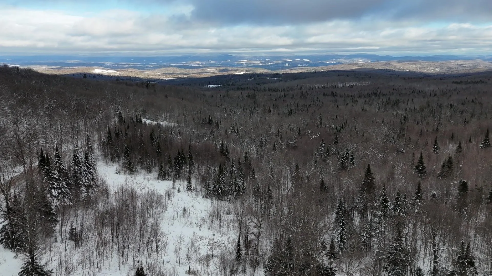 1433 Stannard Mountain Road Wheelock VT 05851