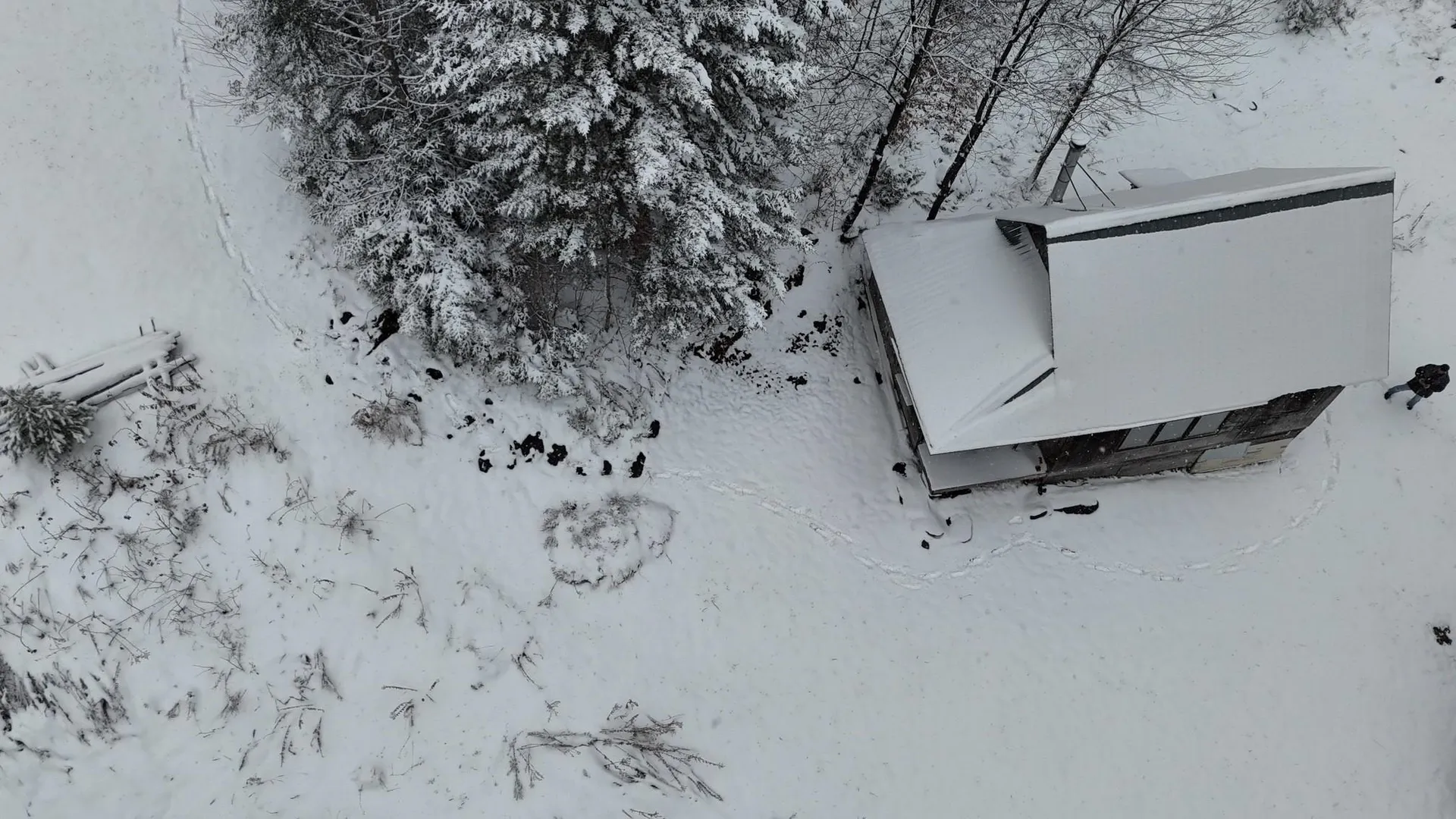 1433 Stannard Mountain Road Wheelock VT 05851