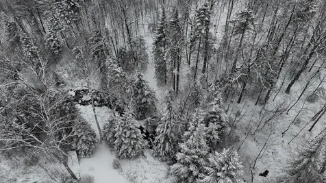 1433 Stannard Mountain Road Wheelock VT 05851