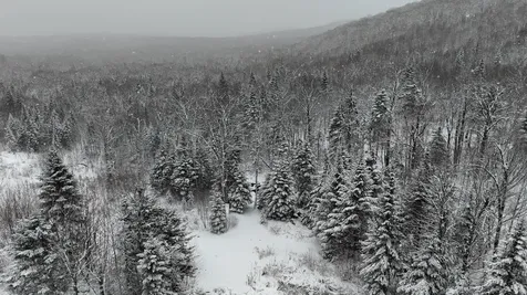 1433 Stannard Mountain Road Wheelock VT 05851