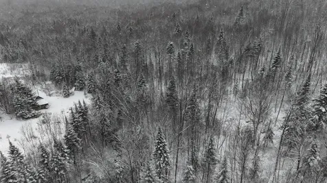 1433 Stannard Mountain Road Wheelock VT 05851