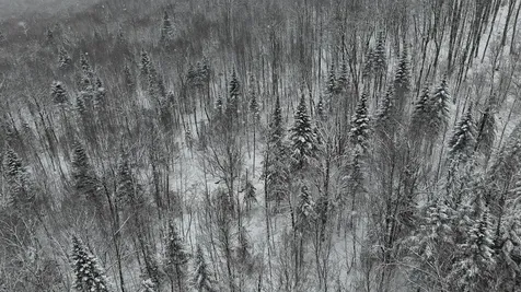 1433 Stannard Mountain Road Wheelock VT 05851