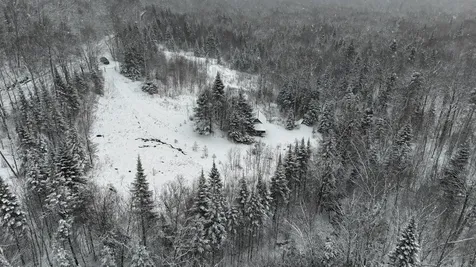 1433 Stannard Mountain Road Wheelock VT 05851