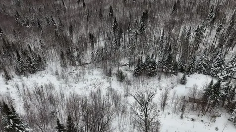 1433 Stannard Mountain Road Wheelock VT 05851