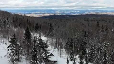 1433 Stannard Mountain Road Wheelock VT 05851