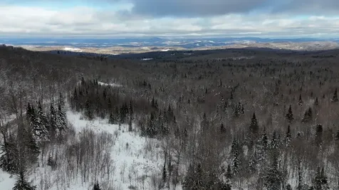 1433 Stannard Mountain Road Wheelock VT 05851