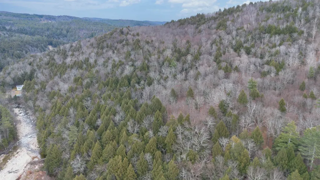 00 Route 100 Jamaica VT 05343